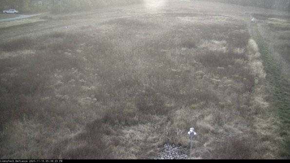 Cell 1_23-11-15_17-38-23-80