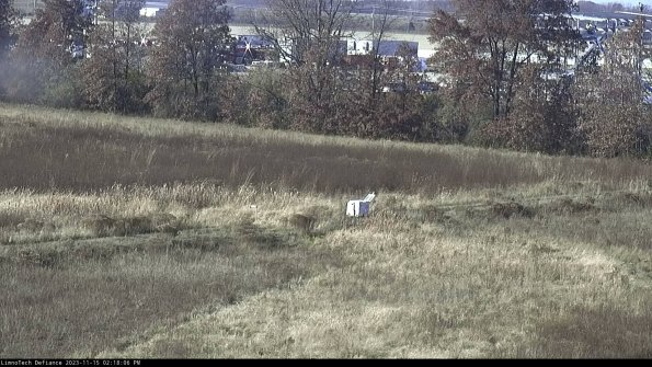 Cell 2 to 3_23-11-15_14-18-06-86