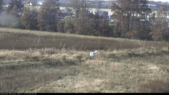 Cell 2 to 3_23-11-15_15-58-33-88