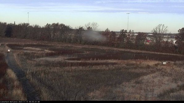 Cell 2_23-11-15_08-09-33-85