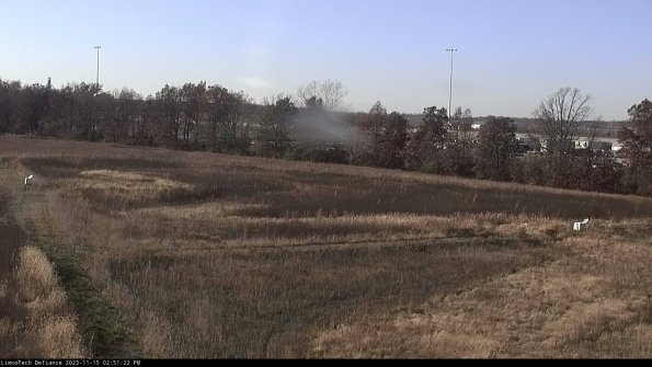 Cell 2_23-11-15_14-51-22-80