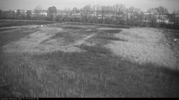 Cell 3_23-11-15_07-03-01-78