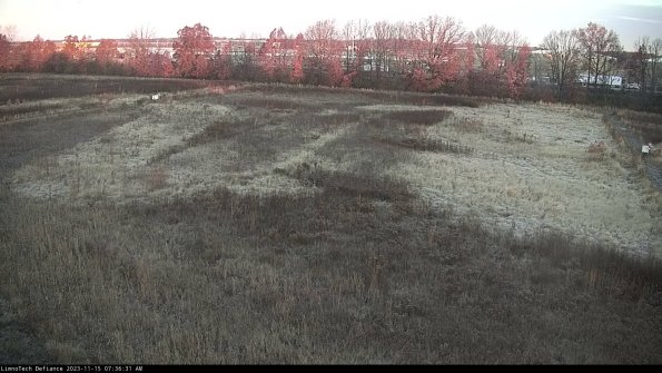 Cell 3_23-11-15_07-36-31-83