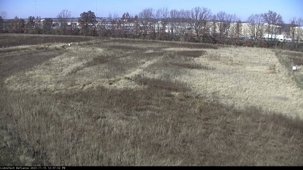 Cell 3_23-11-15_12-37-52-98