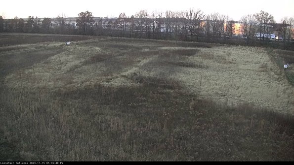 Cell 3_23-11-15_17-05-48-81