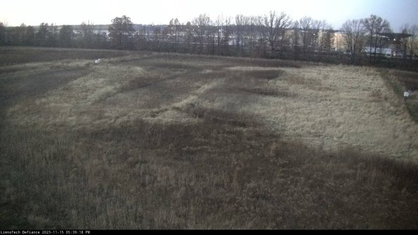 Cell 3_23-11-15_17-39-18-79