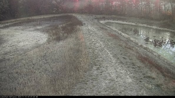 Cell 4 to Basin_23-11-15_07-37-29-82