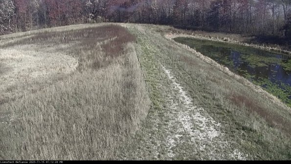 Cell 4 to Basin_23-11-15_13-12-20-79