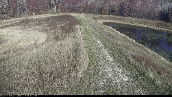 Cell 4 to Basin_23-11-15_15-26-17-84