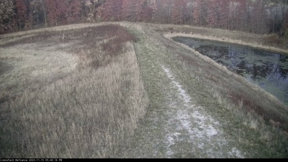 Cell 4 to Basin_23-11-15_17-40-16-82