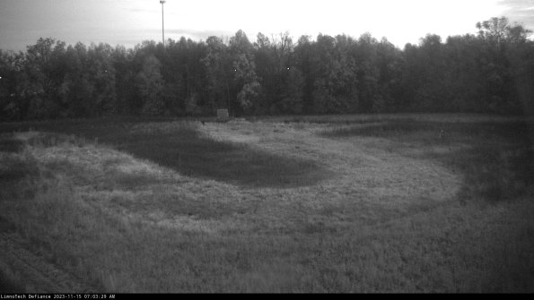 Cell 4_23-11-15_07-03-29-81