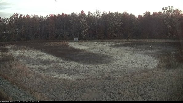 Cell 4_23-11-15_07-36-59-82