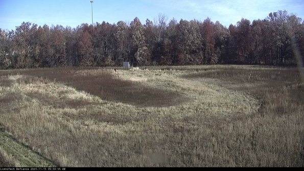 Cell 4_23-11-15_09-50-55-78