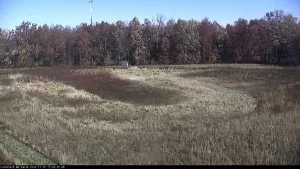 Cell 4_23-11-15_10-24-25-80