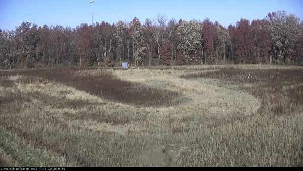 Cell 4_23-11-15_14-18-48-80