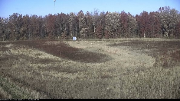 Cell 4_23-11-15_14-52-18-82