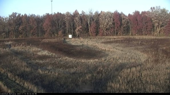 Cell 4_23-11-15_16-32-46-81