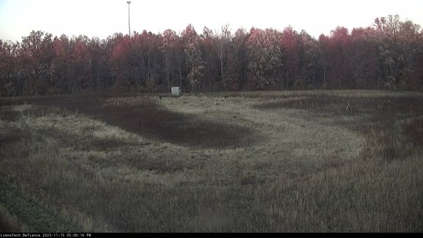 Cell 4_23-11-15_17-06-16-80