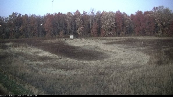 Cell 4_23-11-15_17-39-46-82