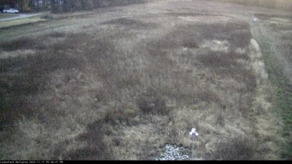 Cell 1_23-11-17_17-38-41-78