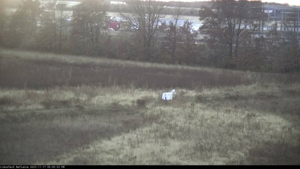 Cell 2 to 3_23-11-17_17-05-52-87