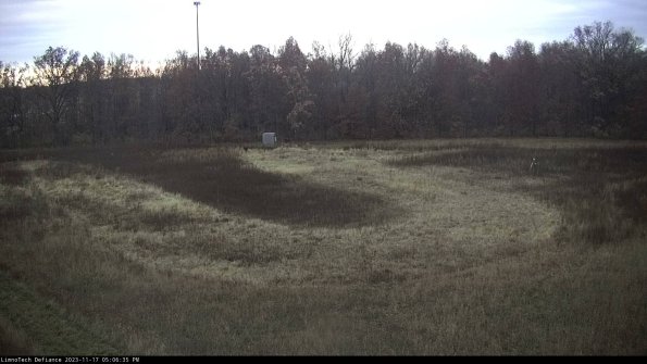 Cell 4_23-11-17_17-06-35-78