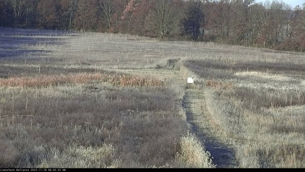 Cell 1 to 2_23-11-18_08-43-25-78