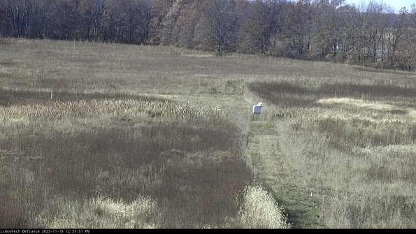 Cell 1 to 2_23-11-18_12-37-51-80