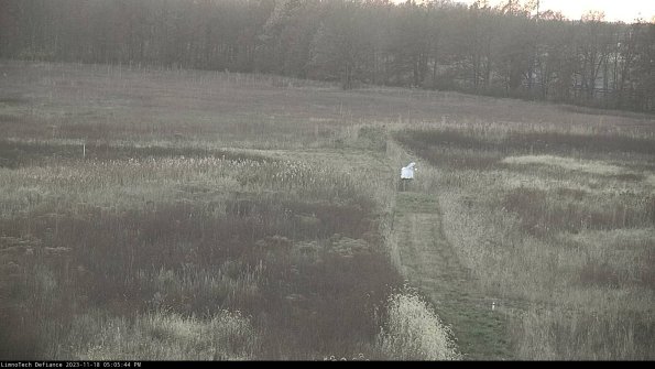 Cell 1 to 2_23-11-18_17-05-44-81