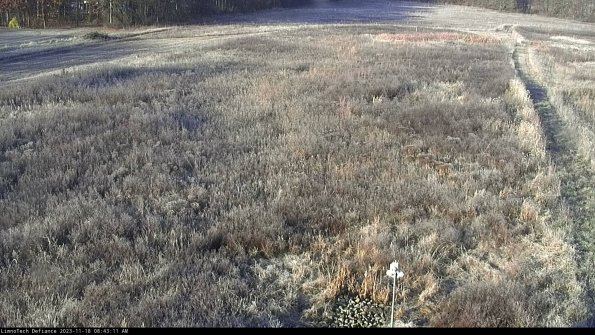 Cell 1_23-11-18_08-43-11-76