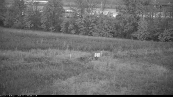 Cell 2 to 3_23-11-18_07-03-23-77