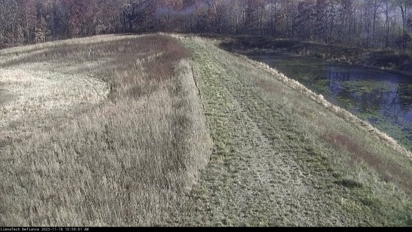 Cell 4 to Basin_23-11-18_10-59-01-81