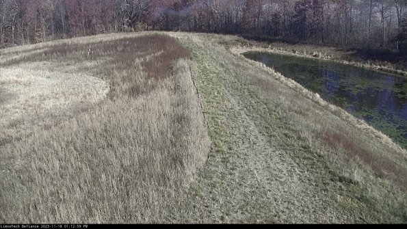 Cell 4 to Basin_23-11-18_13-12-59-81