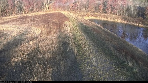 Cell 4 to Basin_23-11-18_16-33-53-79