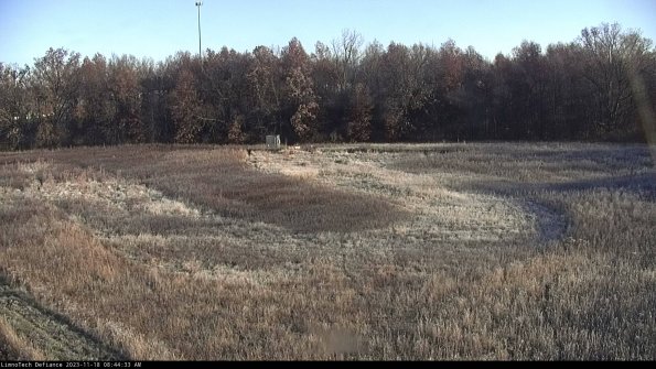 Cell 4_23-11-18_08-44-33-78