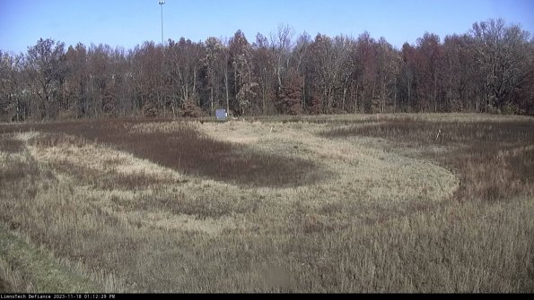 Cell 4_23-11-18_13-12-29-78