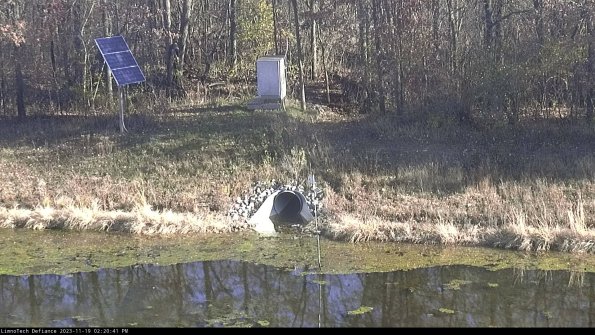 Basin Inflow_23-11-19_14-20-41-76