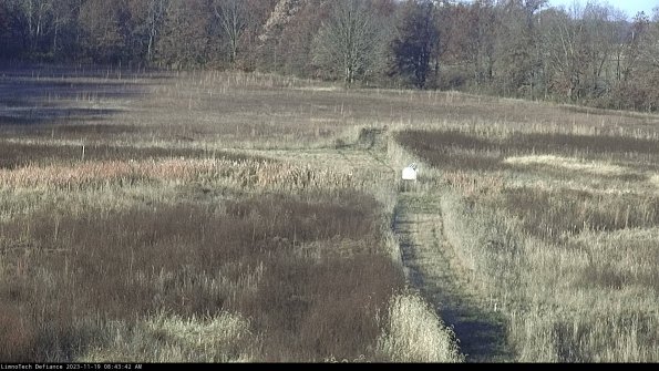 Cell 1 to 2_23-11-19_08-43-42-79