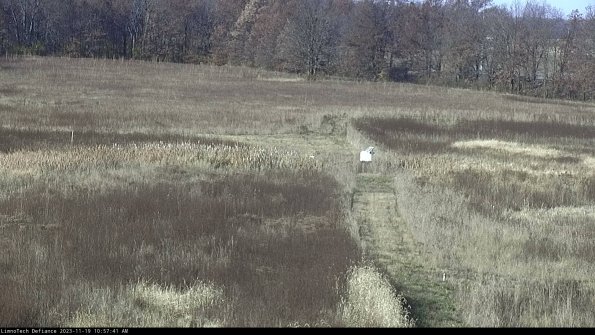 Cell 1 to 2_23-11-19_10-57-41-79