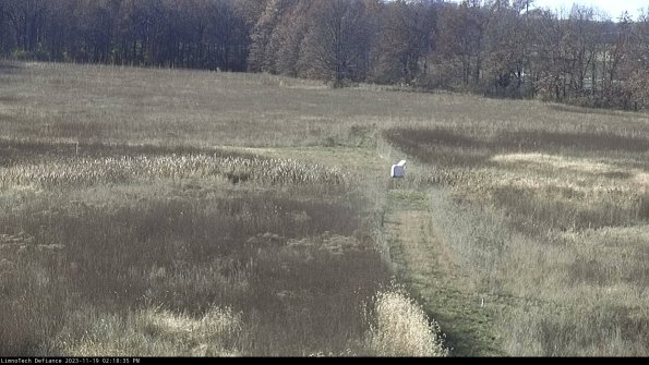 Cell 1 to 2_23-11-19_14-18-35-77