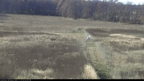 Cell 1 to 2_23-11-19_14-52-05-79