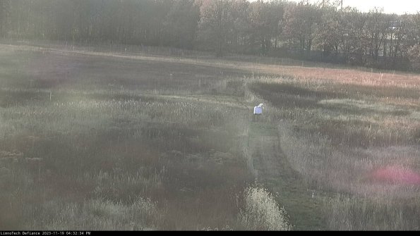 Cell 1 to 2_23-11-19_16-32-34-79