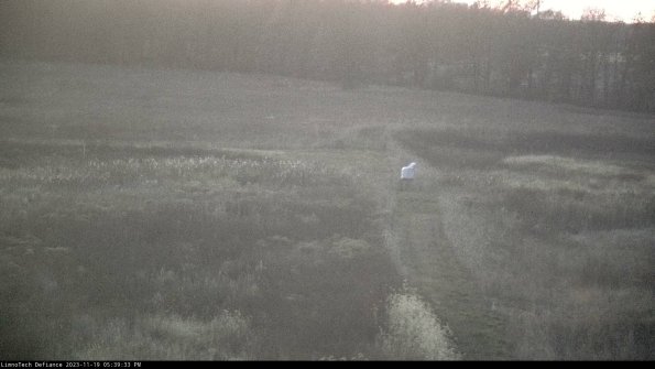 Cell 1 to 2_23-11-19_17-39-33-79