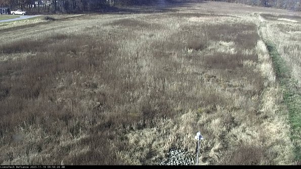 Cell 1_23-11-19_09-50-26-81