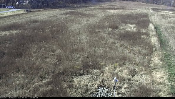 Cell 1_23-11-19_11-30-56-80