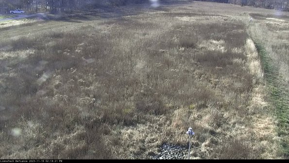 Cell 1_23-11-19_14-18-21-79