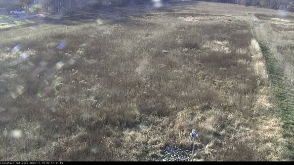 Cell 1_23-11-19_14-51-51-78