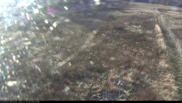 Cell 1_23-11-19_15-58-50-82