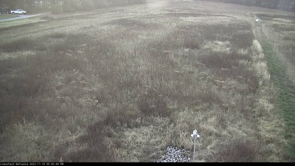 Cell 1_23-11-19_17-05-49-79