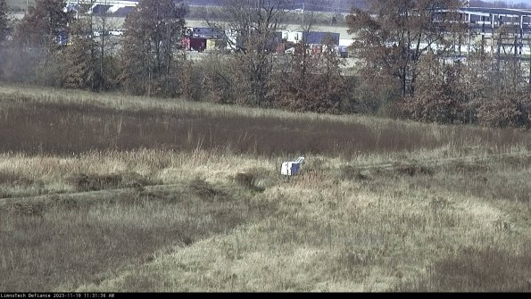 Cell 2 to 3_23-11-19_11-31-36-90